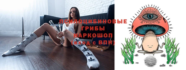 молекула духа Аркадак