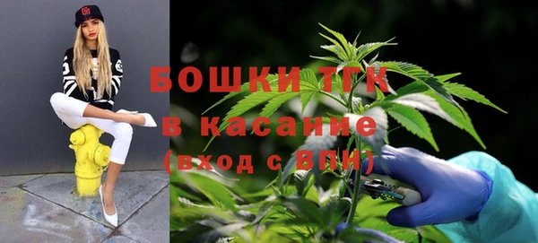 сатива Армянск