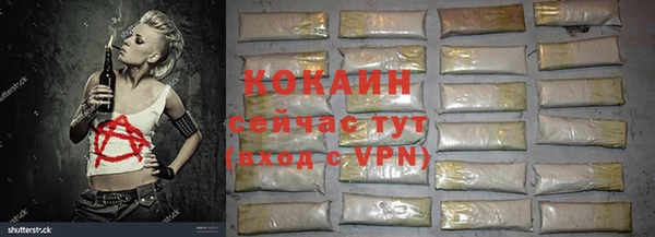 сатива Армянск