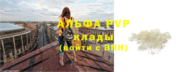 сатива Армянск