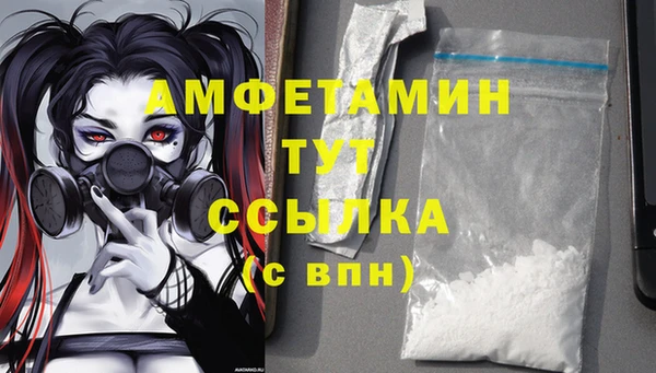 сатива Армянск