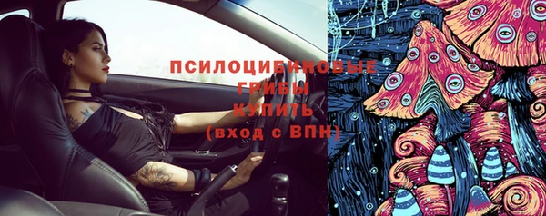 прущая мука Арсеньев