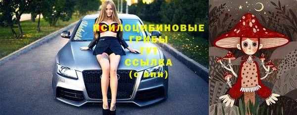 прущая мука Арсеньев