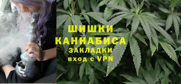 сатива Армянск